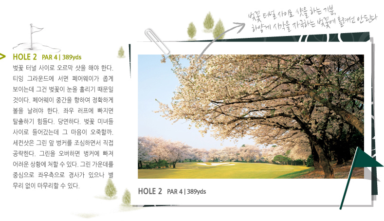 HOLE 2 PAR 4 | 389 yds-벚꽃 터널 사이로 오르막 샷을 해야 한다. 티잉 그라운드에 서면 페어웨이가 좁게 보이는데 그건 벚꽃이 눈을 홀리기 때문일 것이다. 페어웨이 중간을 향하여 정확하게 볼을 날려야 한다. 좌우 러프에 빠지면 탈출하기 힘들다. 당연하다. 벚꽃 미녀들 사이로 들어갔는데 그 마음이 오죽할까. 세컨샷은 그린 앞 벙커를 조심하면서 직접 공략한다. 그린을 오버하면 벙커에 빠져 어려운 상황에 처할 수 있다. 그린 가운데를 중심으로 좌우측으로 경사가 있으나 별 무리 없이 마무리할 수 있다. 