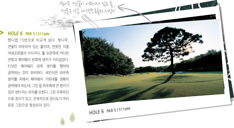 HOLE 6 PAR 5 | 511 yds-핸디캡 15번으로 비교적 쉽다. 벚나무, 연꽃이 어우러져 있는 홀이며, 연못은 각종 야생조류들의 서식지다. 홀 오른쪽에 커다란 연못과 페어웨이 왼쪽에 벙커가 자리잡았다. 티샷은 페어웨이 왼쪽 벙커를 향하여 공략하는 것이 유리하다. 세컨샷은 좌우측 벙커를 피해서 페어웨이 가운데를 정확히 공략해야 하는데, 그린 앞 좌우측에 큰 벙커가 있어 장타자는 주의를 요한다. 그린 우측하단으로 경사가 있고, 전체적으로 경사도가 까다로운 그린으로 형성되어 있다. 