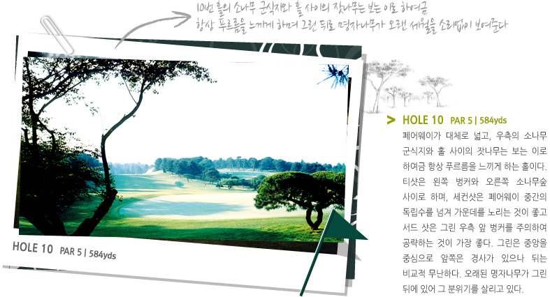 HOLE 10 PAR 5 | 584 yds-페어웨이가 대체로 넓고, 우측의 소나무 군식지와 홀 사이의 잣나무는 보는 이로 하여금 항상 푸르름을 느끼게 하는 홀이다. 티샷은 왼쪽 벙커와 오른쪽 소나무숲 사이로 하며, 세컨샷은 페어웨이 중간의 독립수를 넘겨 가운데를 노리는 것이 좋고 서드 샷은 그린 우측 앞 벙커를 주의하여 공략하는 것이 가장 좋다. 그린은 중앙을 중심으로 앞쪽은 경사가 있으나 뒤는 비교적 무난하다. 오래된 명자나무가 그린 뒤에 있어 그 분위기를 살리고 있다.