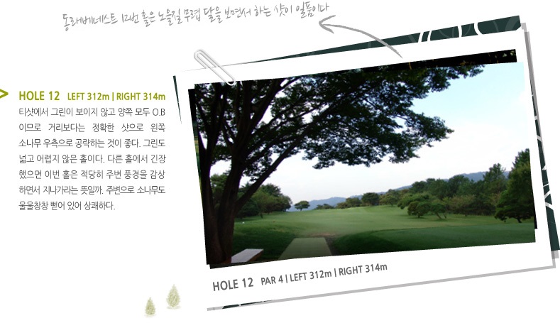 HOLE 12   LEFT 312m | RIGHT 314m -  티샷에서 그린이 보이지 않고 양쪽 모두 O.B이므로 거리보다는 정확한 샷으로 왼쪽 소나무 우측으로 공략하는 것이 좋다. 그린도 넓고 어렵지 않은 홀이다. 다른 홀에서 긴장 했으면 이번 홀은 적당히 주변 풍경을 감상 하면서 지나가라는 뜻일까. 주변으로 소나무도 울울창창 뻗어 있어 상쾌하다.